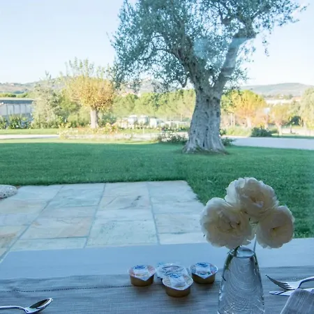 Futura * Monte Roberto